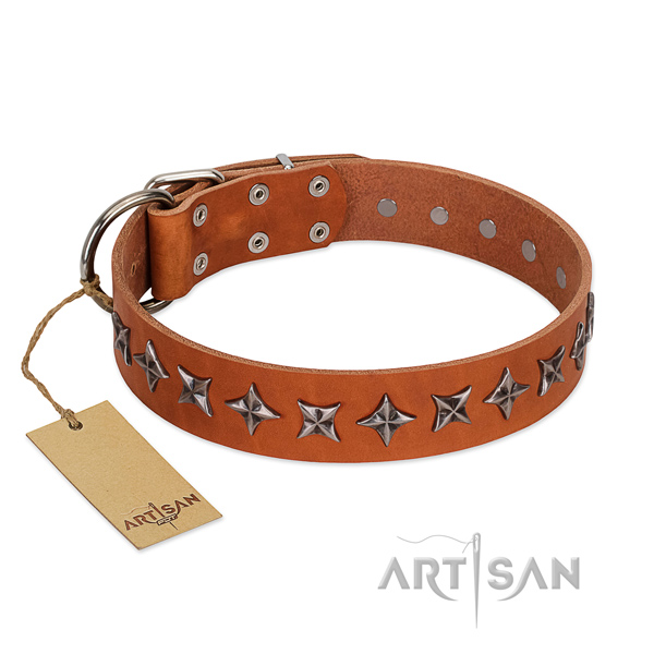 Stylish walking dog collar of strong leather with decorations