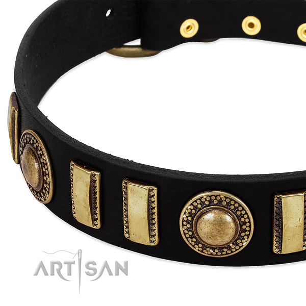 Best quality leather dog collar with rust-proof D-ring