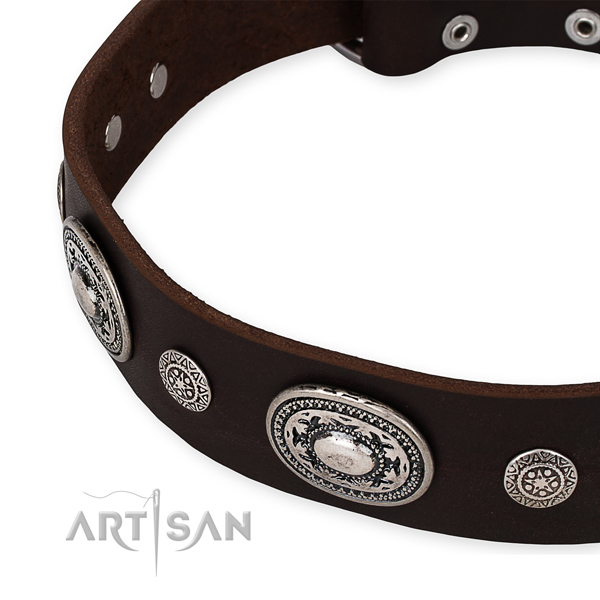 Quality natural genuine leather dog collar created for your handsome four-legged friend