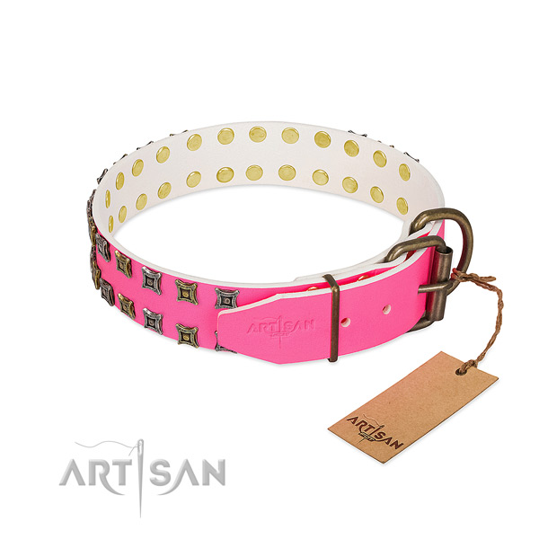 Leather collar with unique embellishments for your canine