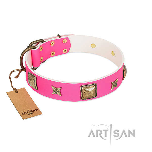 Leather dog collar of gentle to touch material with incredible embellishments