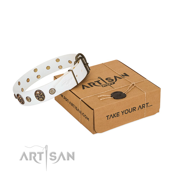 Rust-proof traditional buckle on full grain leather dog collar for daily walking