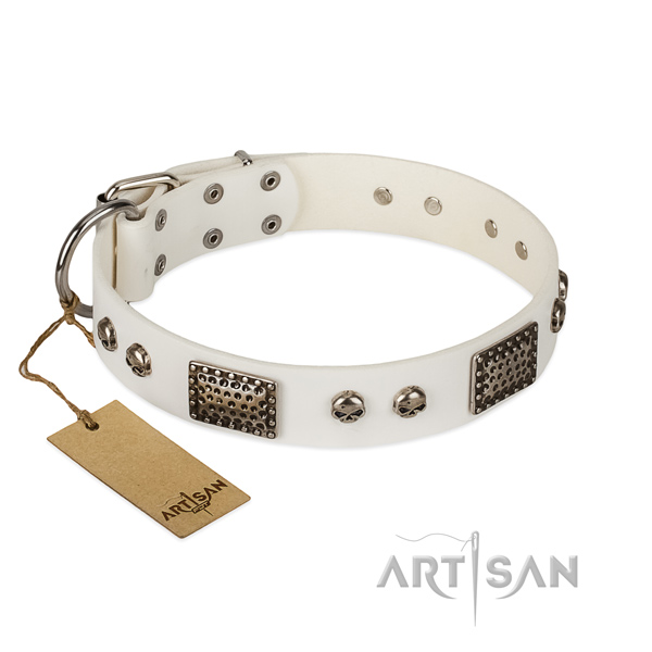 Easy adjustable full grain genuine leather dog collar for walking your four-legged friend
