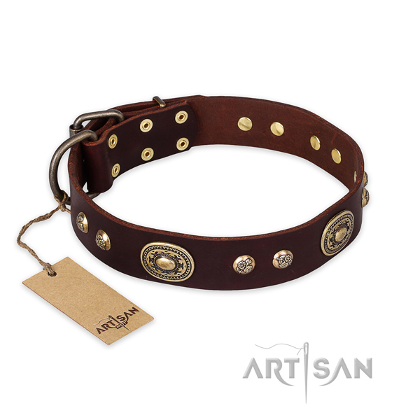 Trendy natural leather dog collar for daily use