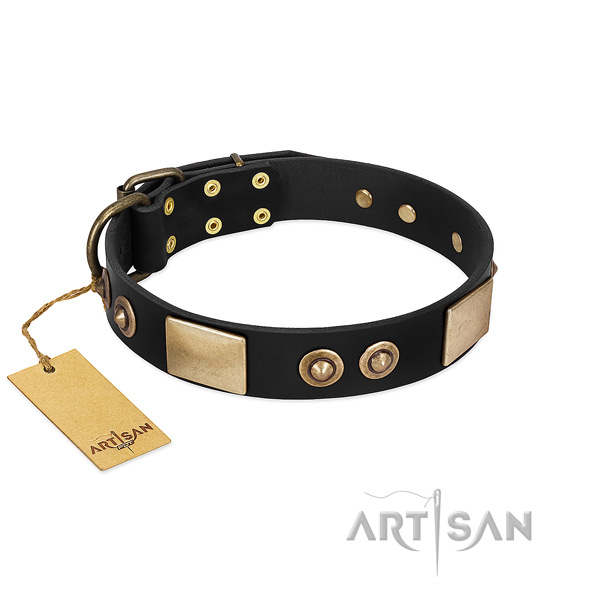 Easy to adjust genuine leather dog collar for everyday walking your four-legged friend