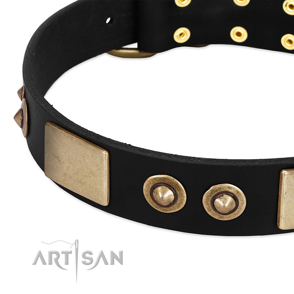 Corrosion proof embellishments on full grain leather dog collar for your pet