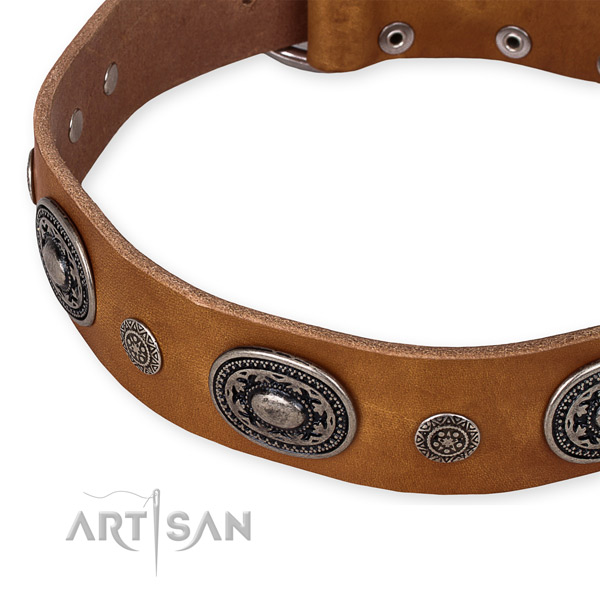 Top notch full grain genuine leather dog collar created for your stylish doggie