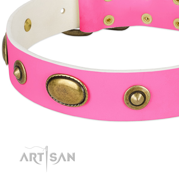 Corrosion proof decorations on full grain leather dog collar for your four-legged friend