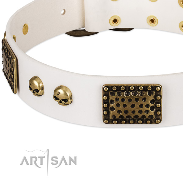 Durable buckle on natural leather dog collar for your canine