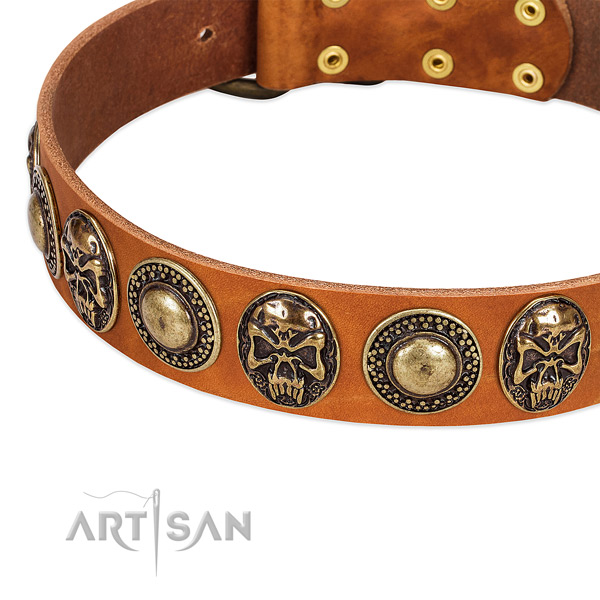 Strong fittings on full grain natural leather dog collar for your doggie