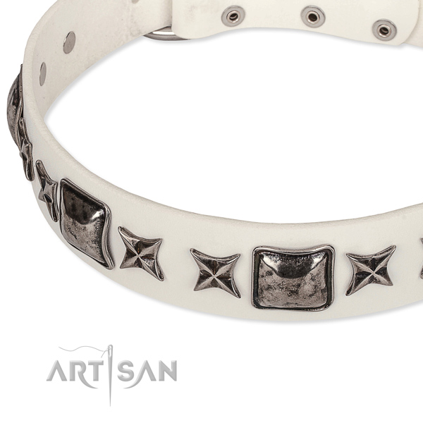 Comfortable wearing studded dog collar of finest quality full grain genuine leather