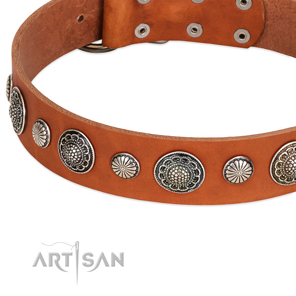 Full grain leather collar with reliable fittings for your impressive four-legged friend