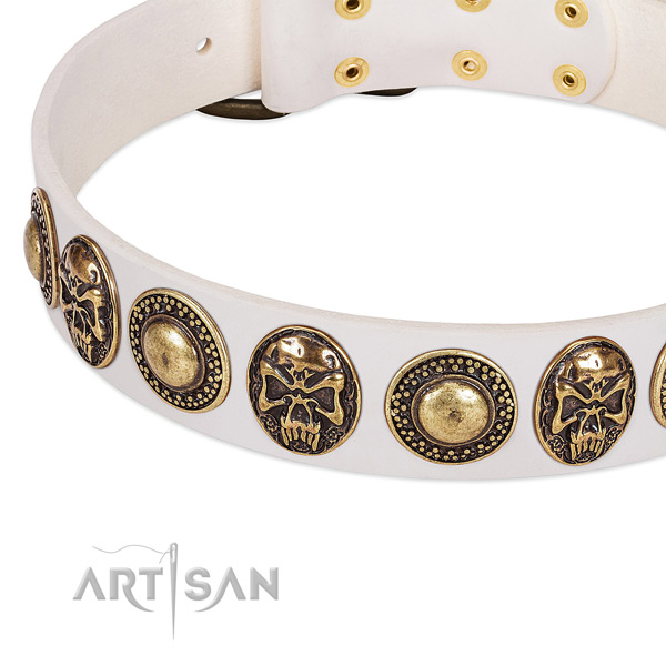 Reliable adornments on leather dog collar for your pet