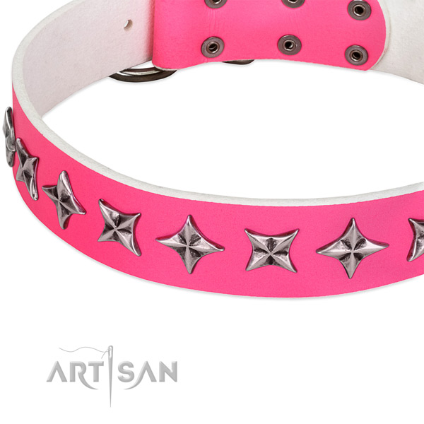 Comfy wearing embellished dog collar of quality full grain leather