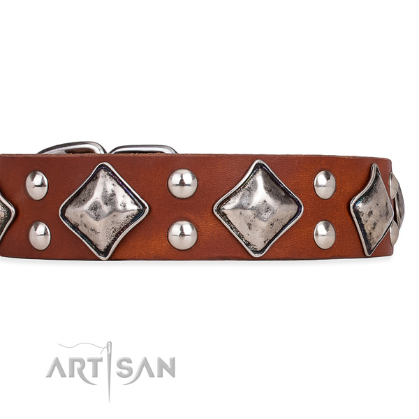 Full grain natural leather dog collar with unusual rust resistant embellishments