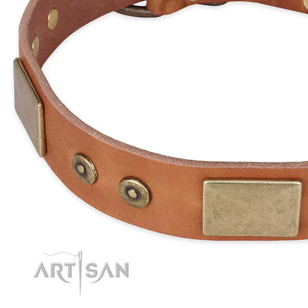 Strong hardware on leather dog collar for your doggie