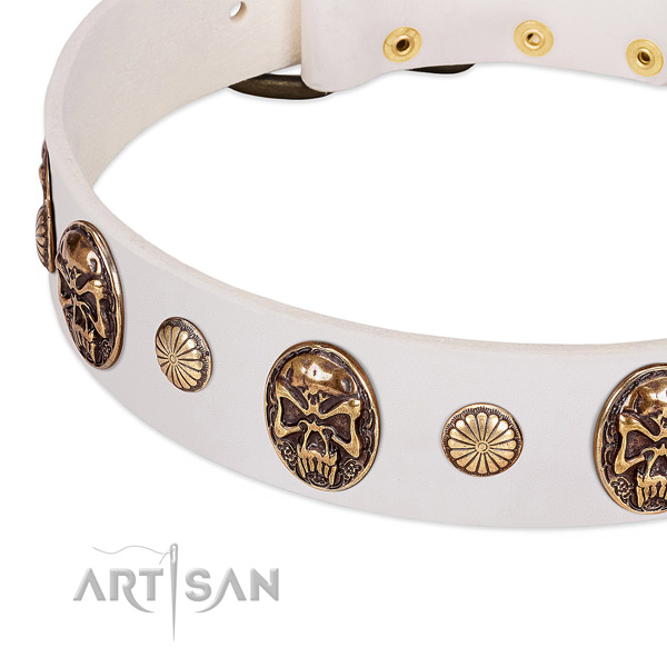 Strong traditional buckle on full grain natural leather dog collar for your canine