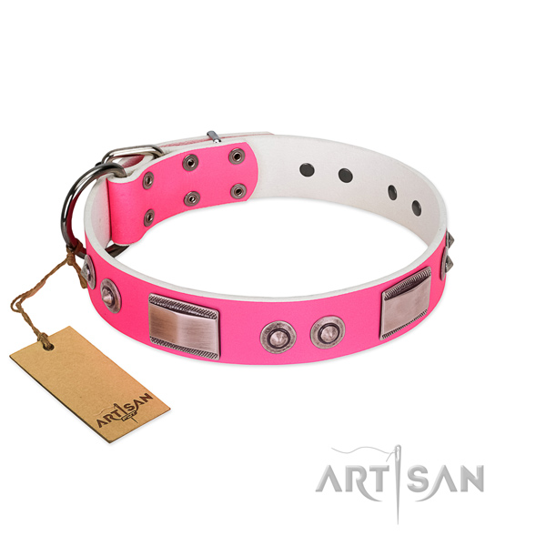 Extraordinary full grain leather collar with embellishments for your canine