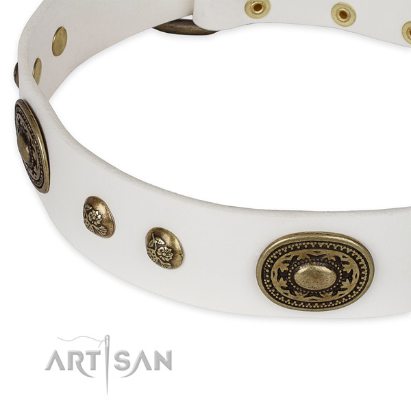 Embellished leather collar for your stylish doggie
