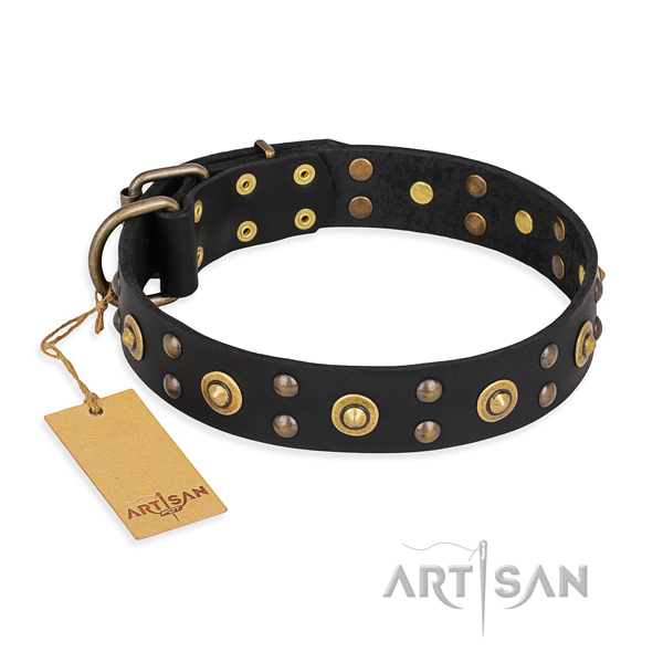 Everyday walking stylish design dog collar with rust resistant buckle