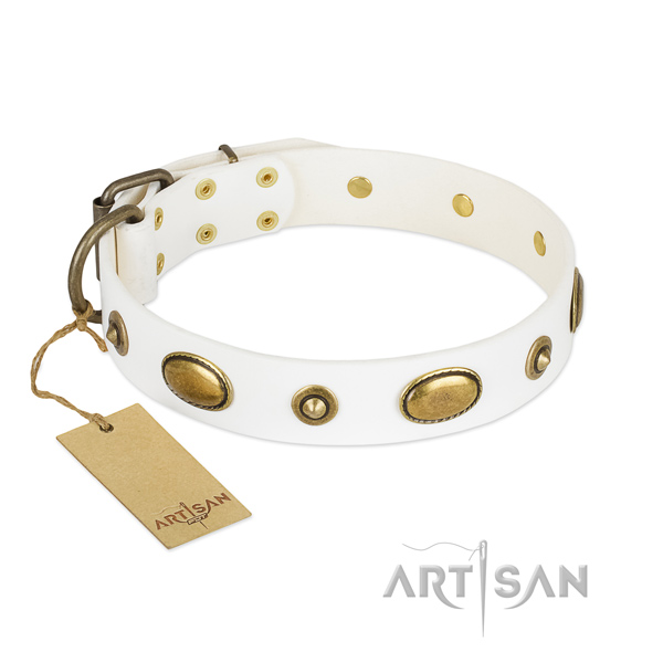 Easy adjustable genuine leather collar for your doggie