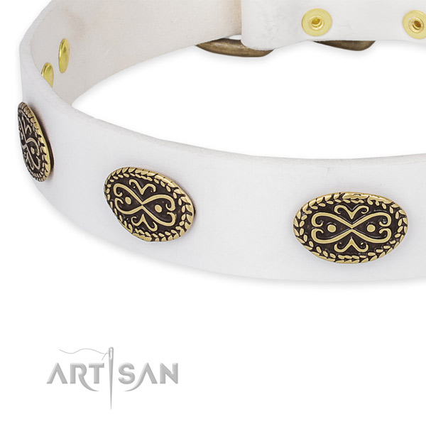 Amazing full grain leather collar for your impressive dog