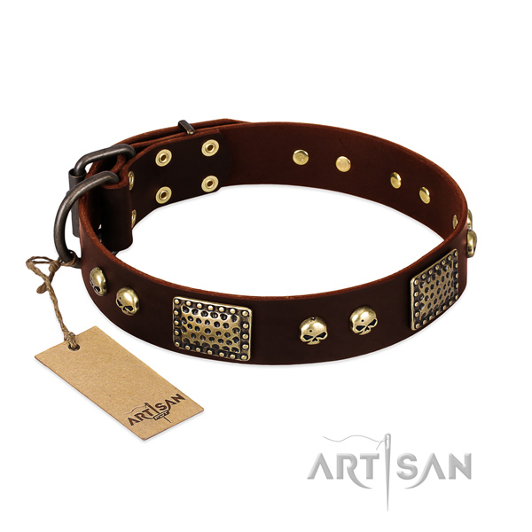 Easy wearing genuine leather dog collar for walking your doggie
