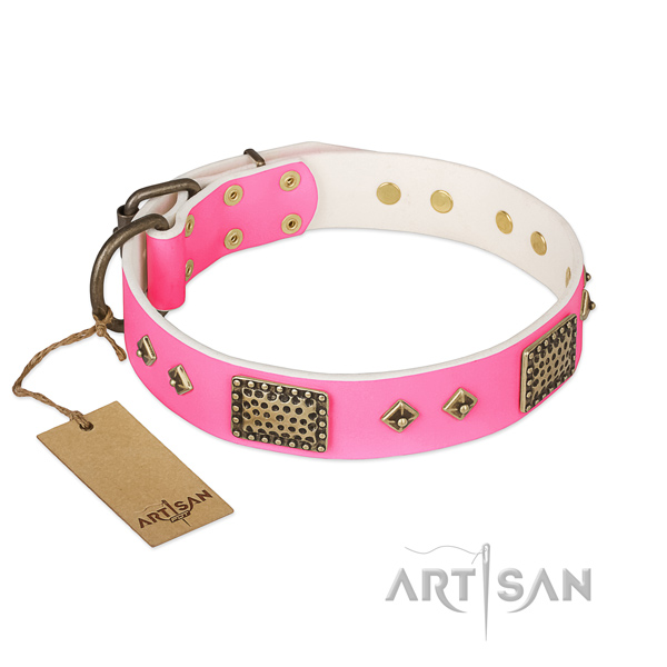 Easy adjustable leather dog collar for walking your dog