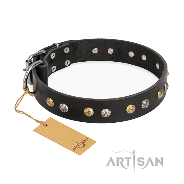 Stylish walking fine quality dog collar with corrosion resistant hardware