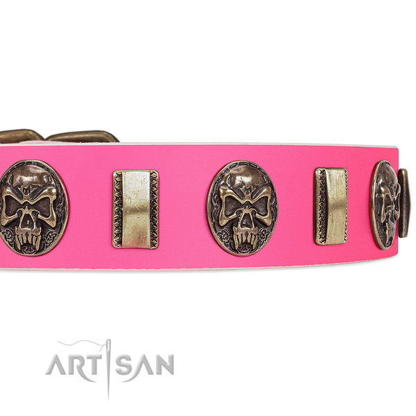 Rust-proof adornments on leather dog collar for your doggie