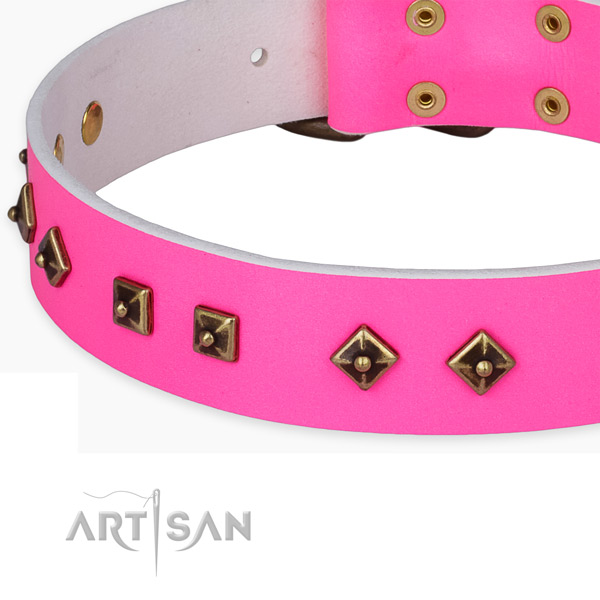 Embellished full grain natural leather collar for your attractive dog