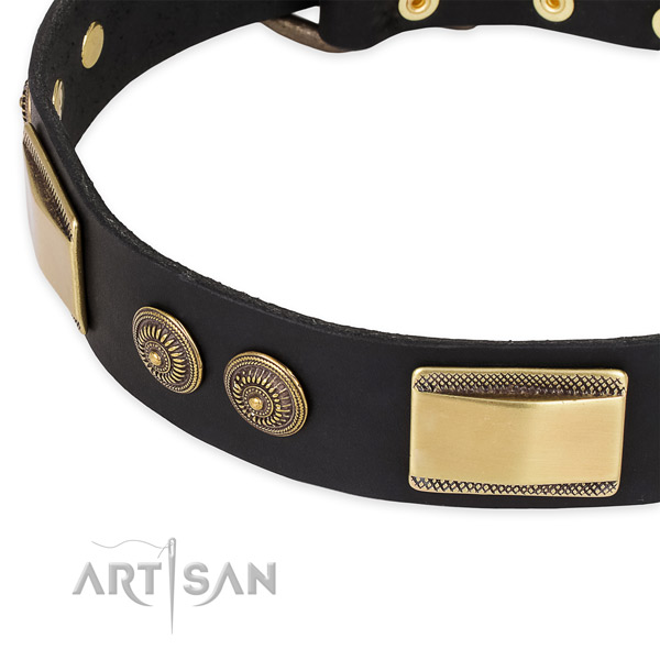 Easy wearing full grain leather collar for your stylish pet