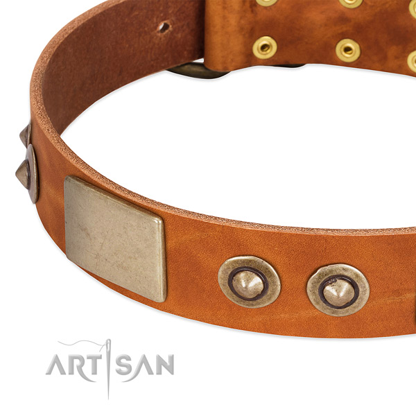 Strong decorations on full grain genuine leather dog collar for your pet