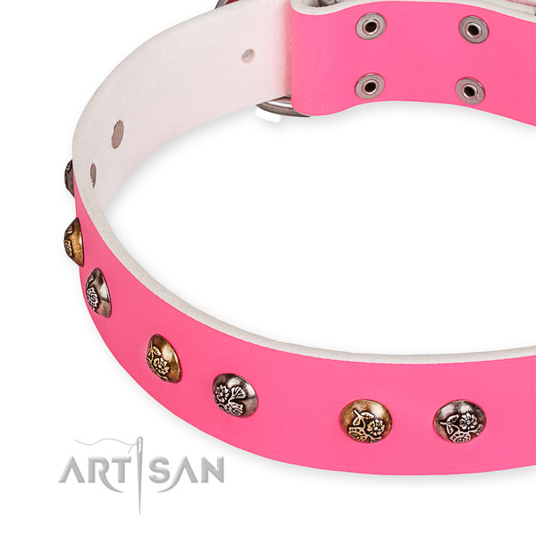 Natural leather dog collar with designer corrosion resistant embellishments