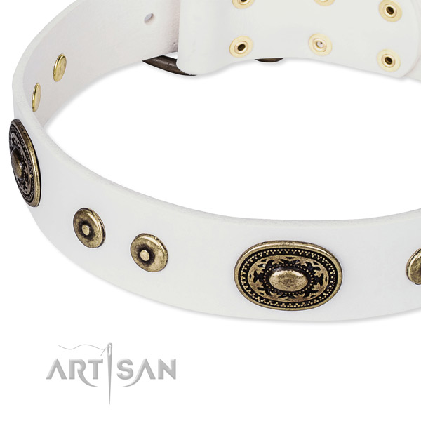 Full grain natural leather dog collar made of soft to touch material with decorations