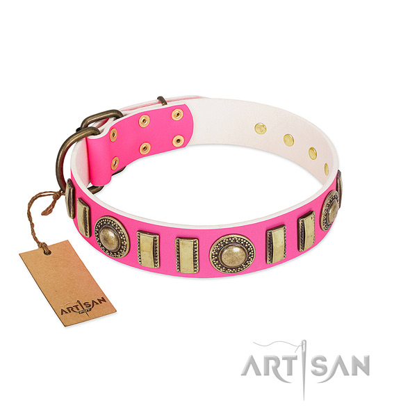 Adorned natural leather dog collar with reliable fittings