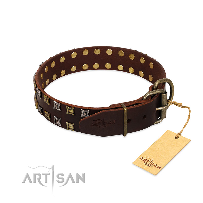 Fido's Pleasure FDT Artisan Brown Leather Dog 【Collar】 with Amazing Studs :  K9 Equipment: K9 Muzzles, Dog Harnesses, K9 Collars, Leashes