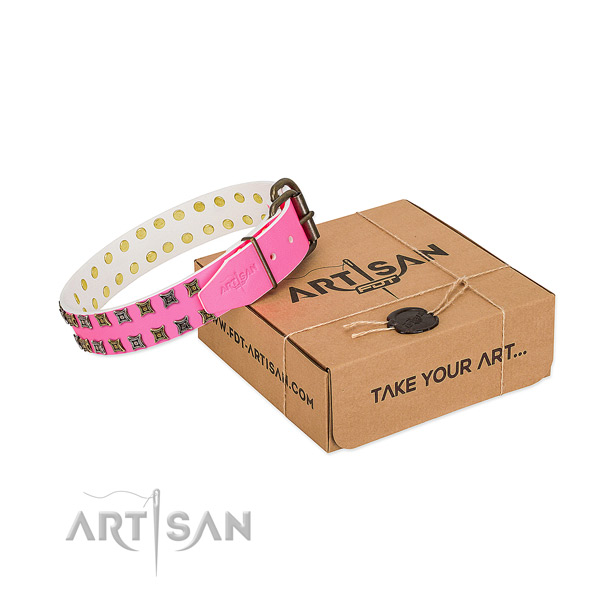 Natural leather collar with exceptional studs for your doggie