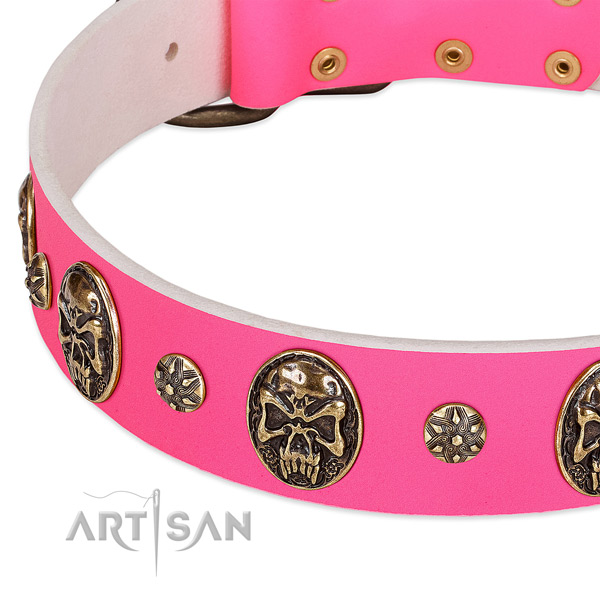 Impressive dog collar handmade for your handsome dog