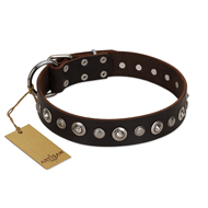 "Gorgeous Shields" FDT Artisan Brown Leather dog Collar with Old Silver-like Circles and Small Camomiles "Gorgeous Shields" FDT Artisan Brown Leather dog Collar with Old Silver-like Circles and Small Camomiles