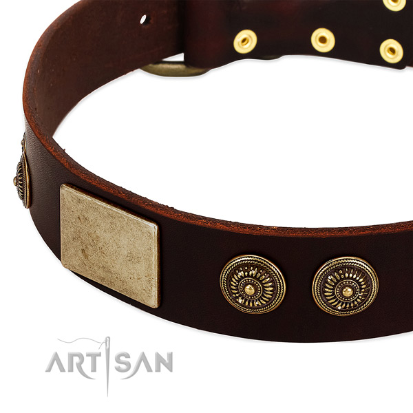Rust resistant hardware on genuine leather dog collar for your canine