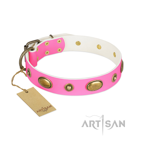 Stylish genuine leather collar for your doggie