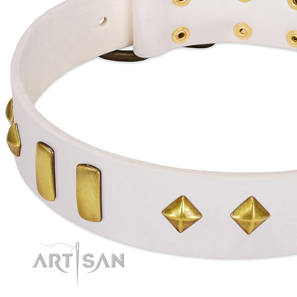 Everyday walking genuine leather dog collar with top notch embellishments