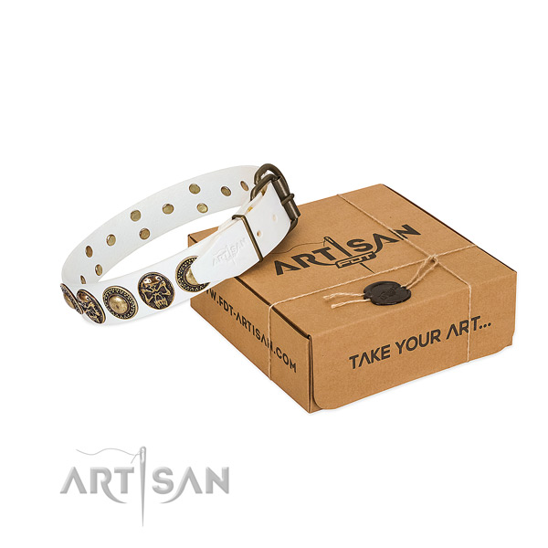 Corrosion resistant hardware on dog collar for walking