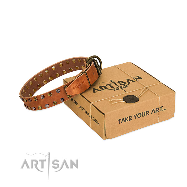 Comfy wearing soft leather dog collar with adornments