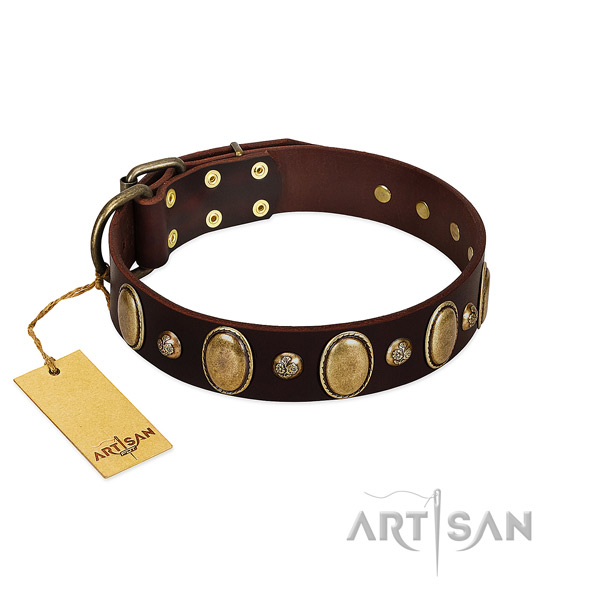 Genuine leather dog collar of soft material with fashionable studs