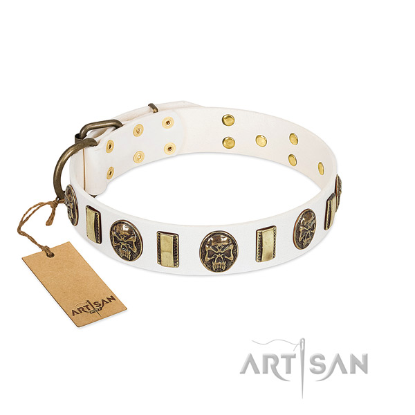 Exquisite full grain natural leather dog collar for daily walking
