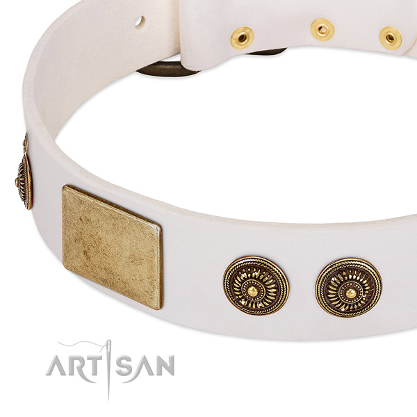Best quality dog collar crafted for your handsome four-legged friend