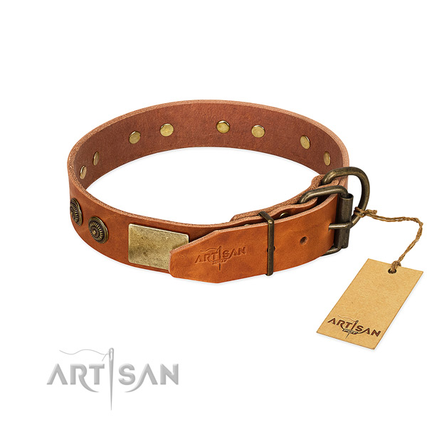 Strong D-ring on full grain genuine leather collar for basic training your dog