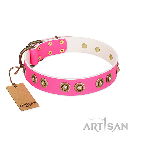 Amazing genuine leather dog collar for basic training
